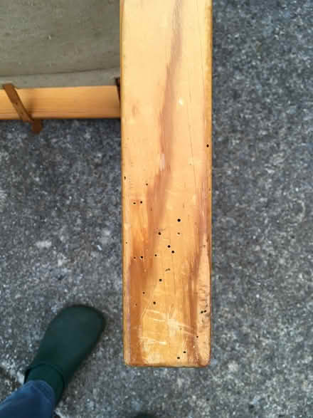 Photo of free Chair (Frenchwood PR1) #1