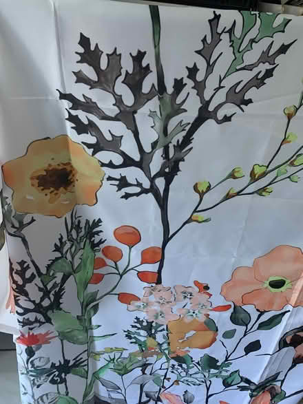 Photo of free Shower curtain (Brooklyn, NY) #1