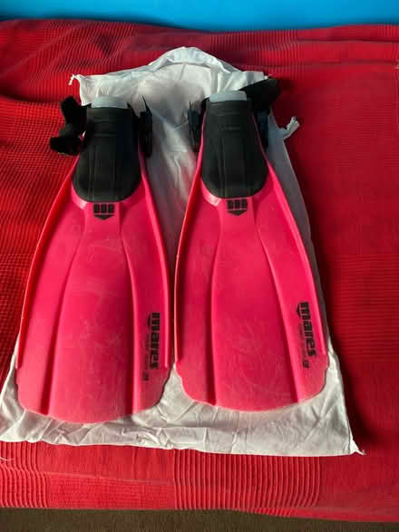 Photo of free Fins (Ashford, TN24) #1