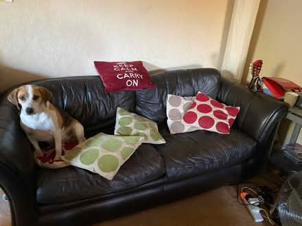 Photo of free Brown Leather sofa & chair (Keynsham) #1