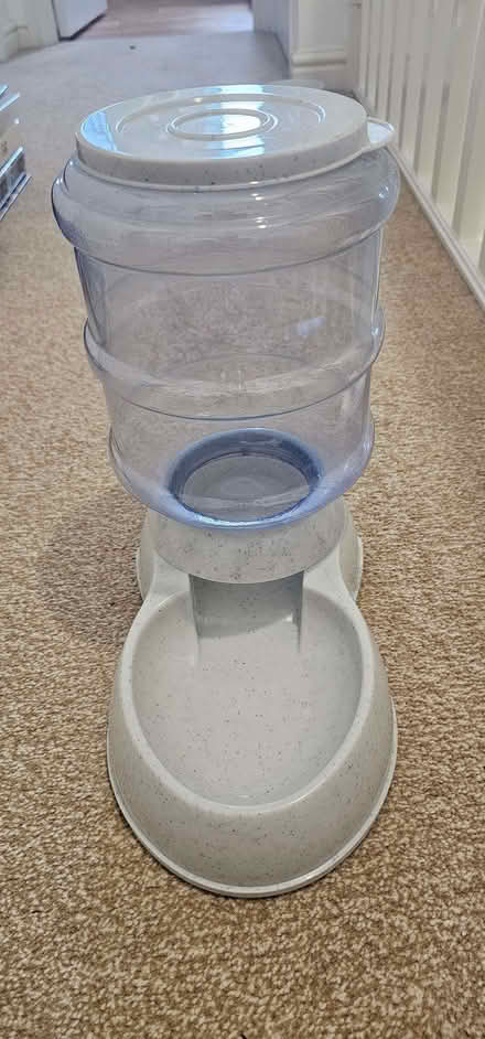 Photo of free Cat or Dog biscuit feeder. (Hailsham BN27) #1