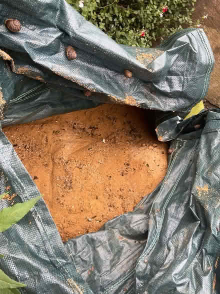 Photo of free Sharp Sand (Dollis Hill (Dollis Hill (NW10)) #1