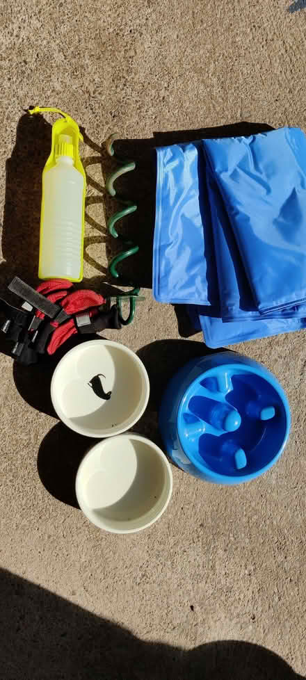 Photo of free Dog items (Birkhill DD2) #1