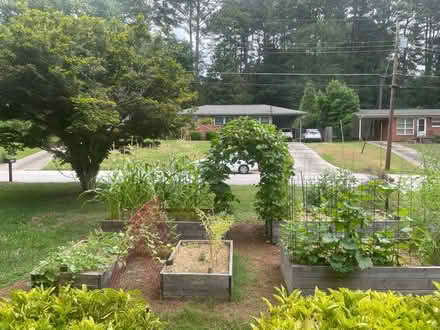 Photo of free Gardening cattle panels for vining (Decatur)