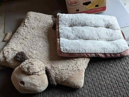 Photo of free Dog beds (Renton Highlands) #1
