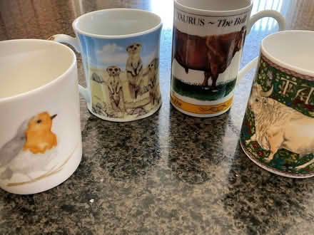 Photo of free Animal mugs (Basildon SS16) #1