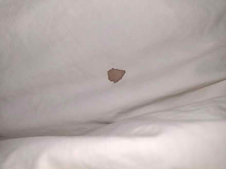 Photo of free Duvet (Moulsham CM2) #2