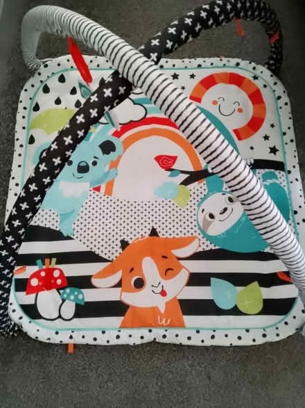 Photo of free Babies playmat (Stacksteads OL13) #1