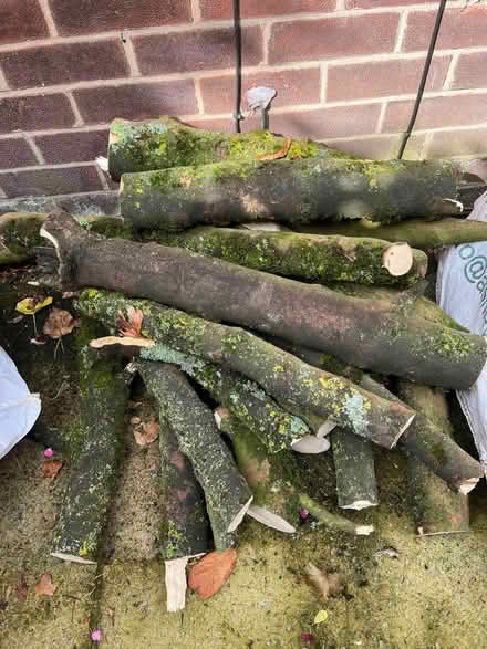 Photo of free tree logs (Baguley M33) #1