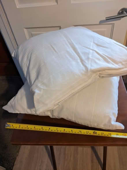 Photo of free Two cream coloured cushions (Freehold LA1) #1