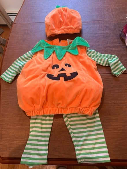 Photo of free Pumpkin costume (Hudson) #1