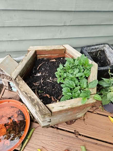 Photo of free Wooden planter (Bearton SG5) #2