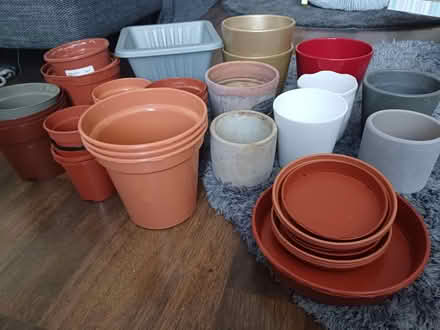 Photo of free Various gardening bits (SE9) #1