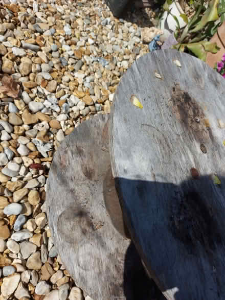 Photo of free Wooden Cable Reel (Hayling Island) #2