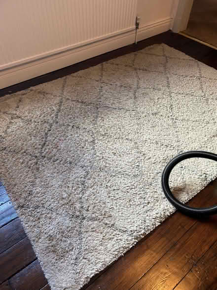 Photo of free Large rug (Halliwell BL1) #1