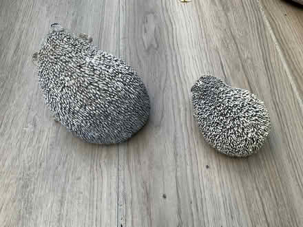 Photo of free Ornamental hedgehogs x 2 looking for a new home (Lamborough Hill OX13) #2