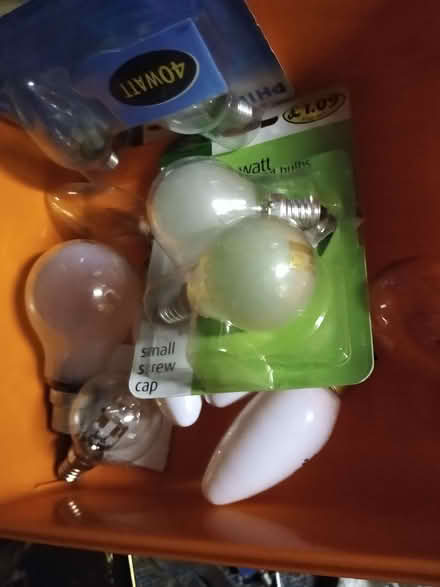 Photo of free Electric light bulbs (Marchmont EH9) #2