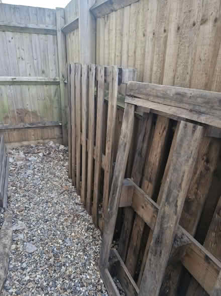 Photo of free Pallets (Leighton Buzzard LU7) #3