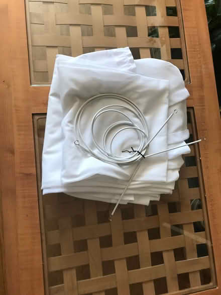 Photo of free Lace curtains (Snettisham PE31) #1