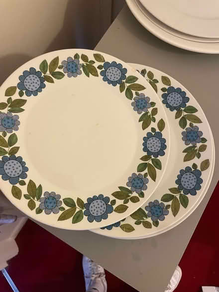Photo of free Plates (LU6 Kensworth) #1