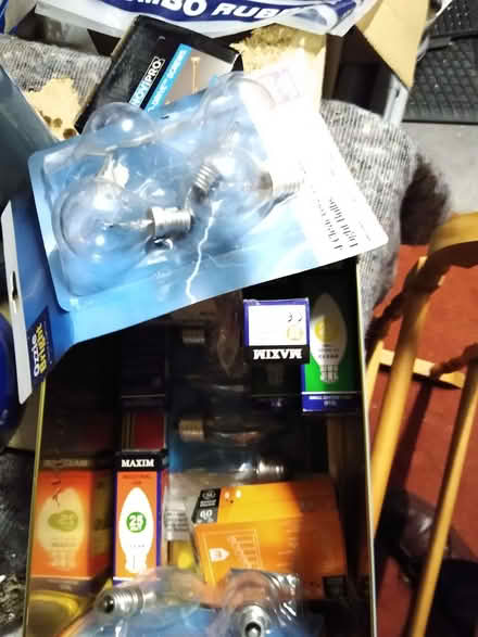 Photo of free Electric light bulbs (Marchmont EH9) #1