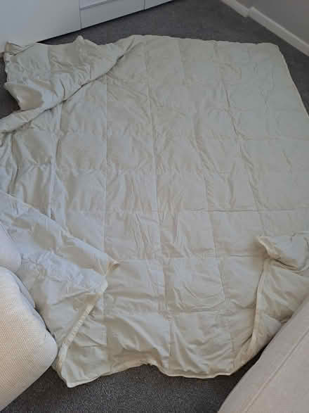 Photo of free Duvet (Moulsham CM2) #1