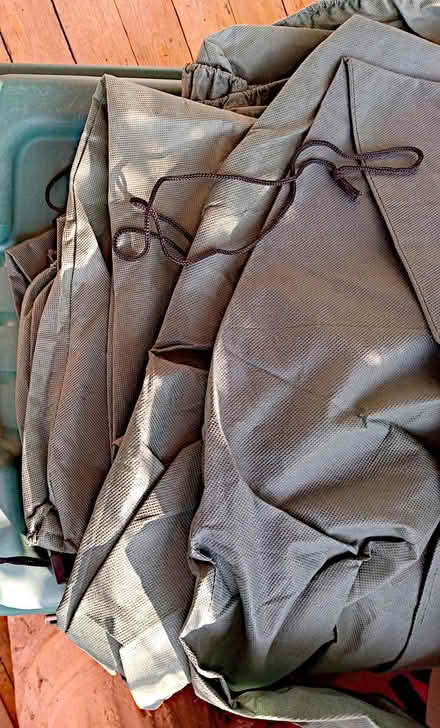 Photo of free winter tents for bushes (Lower East Side) #1
