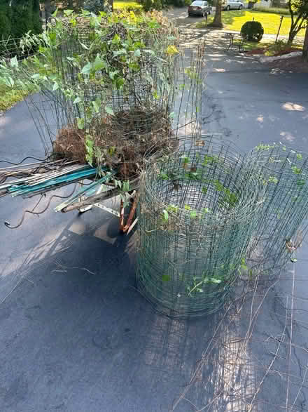 Photo of free Garden fencing, stakes, wheelbarrow (Dutch neck) #1