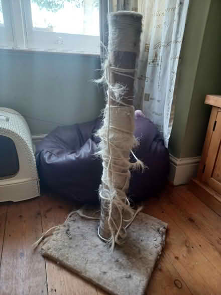 Photo of free Well used cat scratchpost (Central Watford WD18) #1