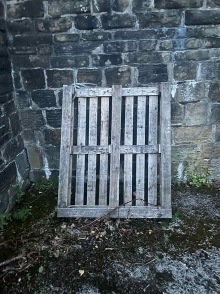 Photo of free Wooden pallet (BD20 5PB) #1