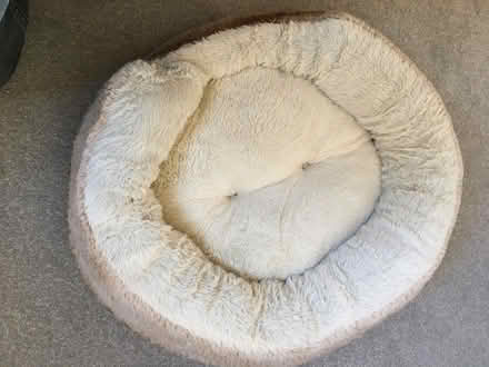 Photo of free Pet bed (West Midlands B31) #1
