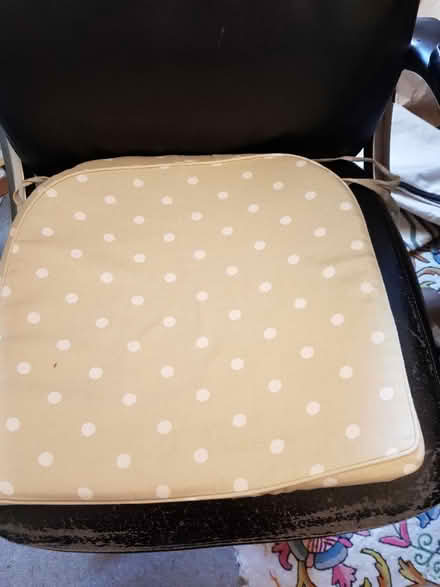 Photo of free Seat cushions (Oldfield Park) #2