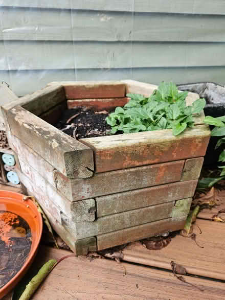 Photo of free Wooden planter (Bearton SG5) #1