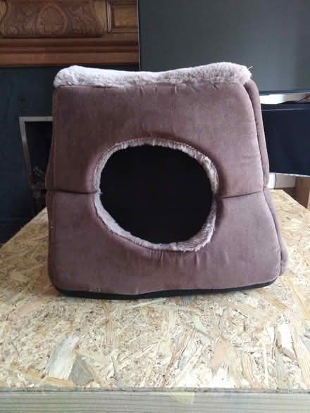 Photo of free Furry Cat Cave (Marchmont) #1