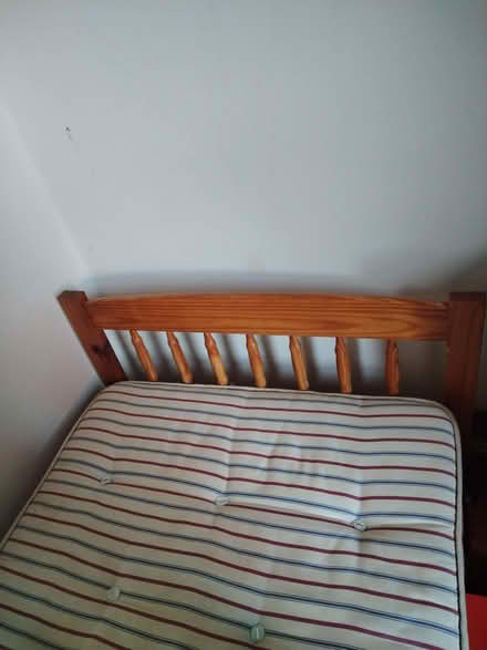 Photo of free Single bed (3ft) with mattress (Hartington Road BN2) #1