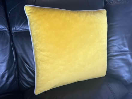 Photo of free 6 yellow cushions 4 blue cushions (Thornhill lees Dewsbury) #1