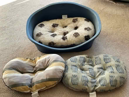Photo of free Small plastic dog bed with 3 pads (Crowborough TN6 Pleasant View) #1