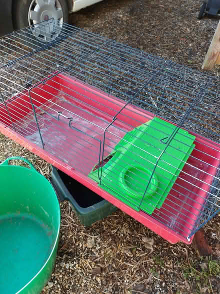 Photo of free Guinea pig cage (Chard) #2