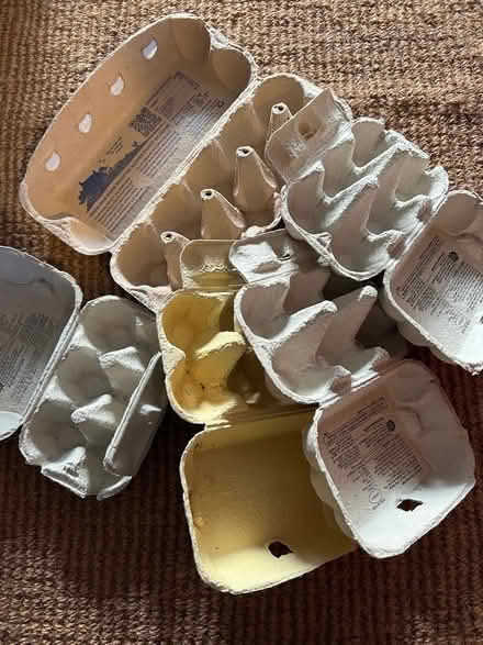 Photo of free Egg boxes (West Hill TN34) #1