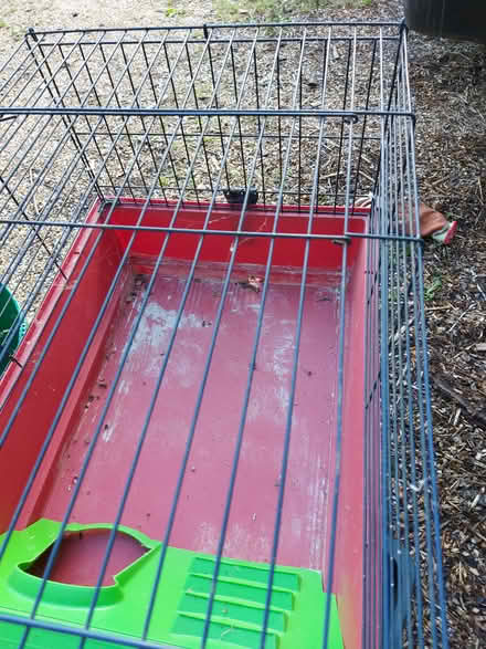 Photo of free Guinea pig cage (Chard) #1