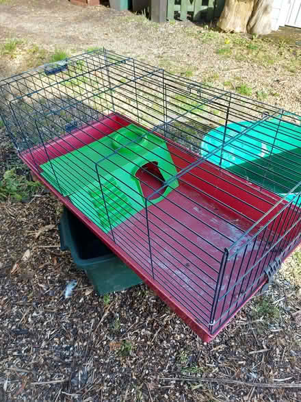 Photo of free Guinea pig cage (Chard) #3