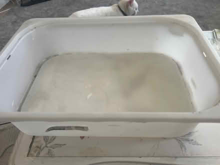 Photo of free Ikea plastic tray (ME7) #1