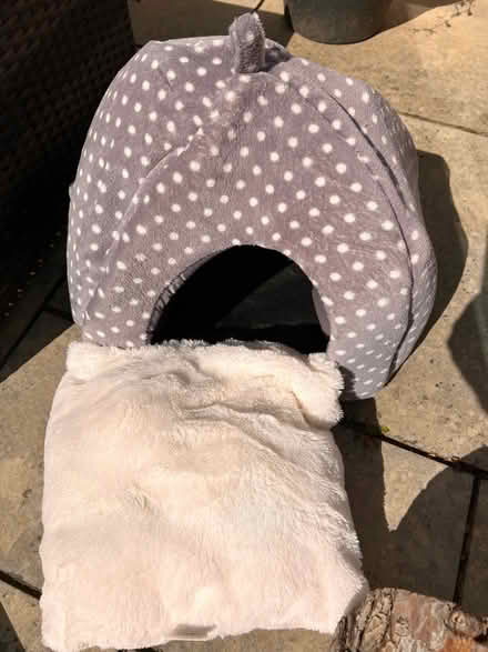 Photo of free Kitten/small cat bed (TW16 Sunbury) #1