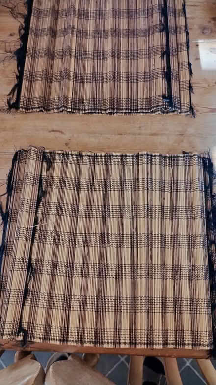 Photo of free Place mats, bamboo? (DE24 Alvaston) #1