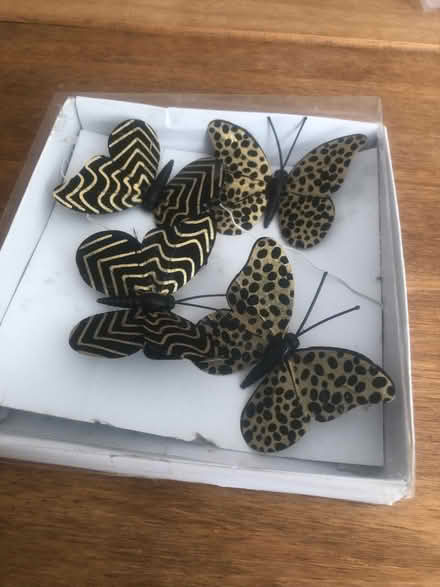 Photo of free Butterfly tree decorations (Barnard's Green WR14) #1
