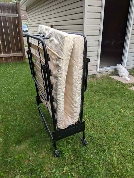 Photo of free Fold up single bed + mattress (Inglewood area, Edmonton) #1