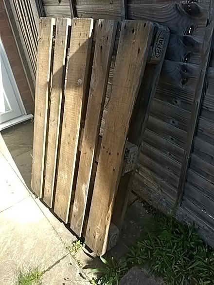 Photo of free Pallets (Old Town SG1) #1