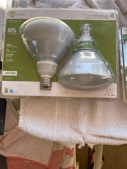 Photo of free flood light bulbs (Near Brownell Middle School) #4