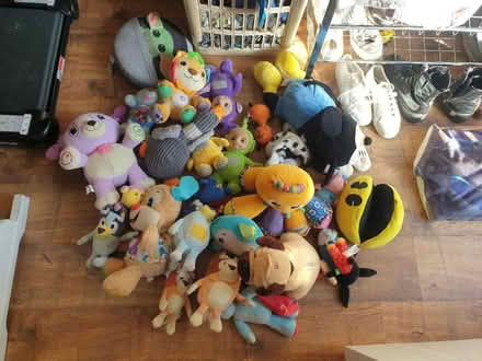 Photo of free loads of teddies (Eastbourne) #1
