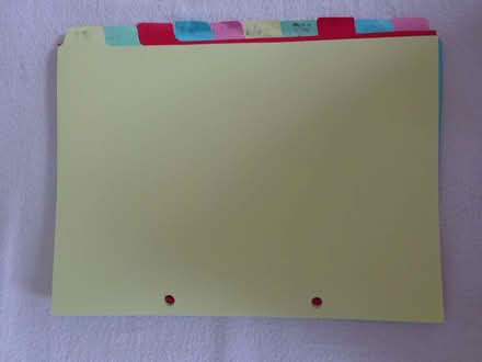 Photo of free A4 + A5 file dividers (Rushwick WR2) #1